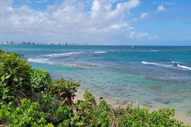 Old San Juan and Piñones Sightseeing Tour via Minibus - Memorable Tour Experiences