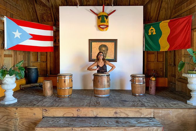 Old San Juan - Loiza African Town Full-Day Tour: 8+ People Group - Reviews