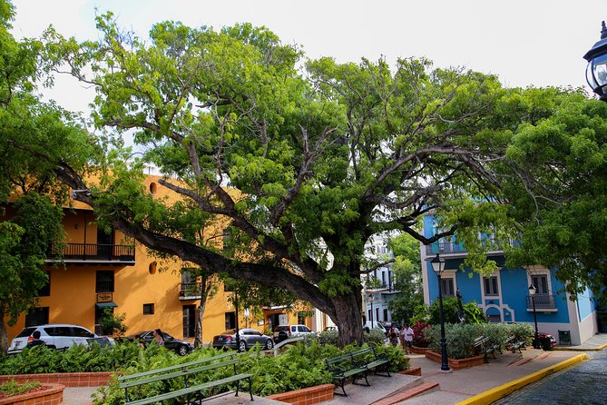 Old San Juan - Loiza African Town Full-Day Tour: 8+ People Group - Experience Loiza African Town