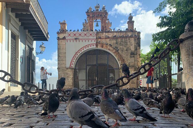 Old San Juan Walking Tour with a Local Certified Guide - Who Should Take This Tour?