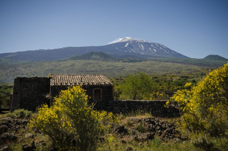 Old Sicily and Etna Wine Tasting Tour From Taormina - Itinerary Highlights