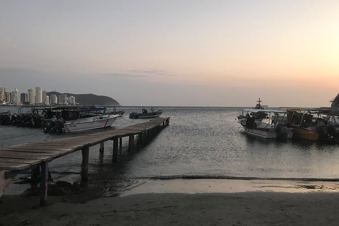 Old Town and Quinta San Pedro Santa Marta City Tour - Customer Reviews and Feedback