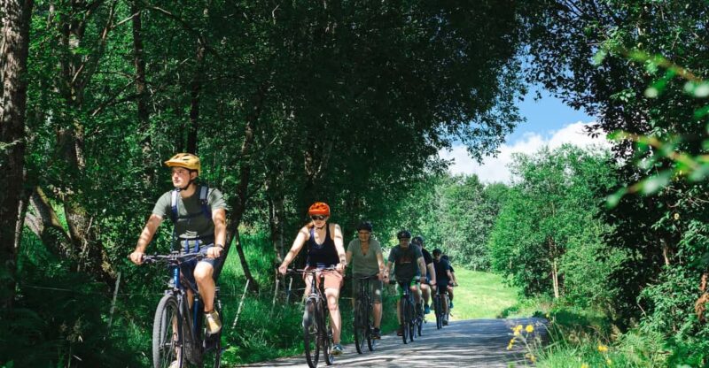 Olden: Fjord E-Bike Tour - Booking Information