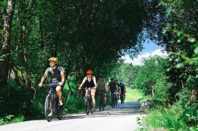 Olden: Fjord E-Bike Tour - Tour Experience