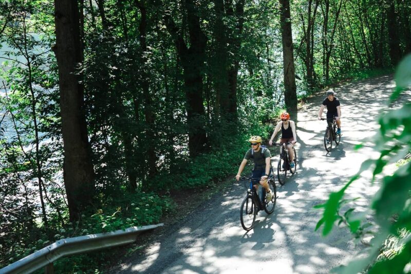 Olden: Fjord E-Bike Tour - Customer Reviews