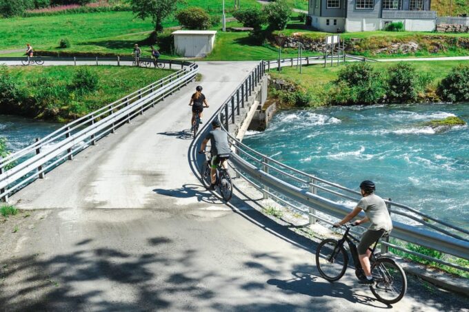 Olden: Fjord E-Bike Tour - Guided Insights and Storytelling
