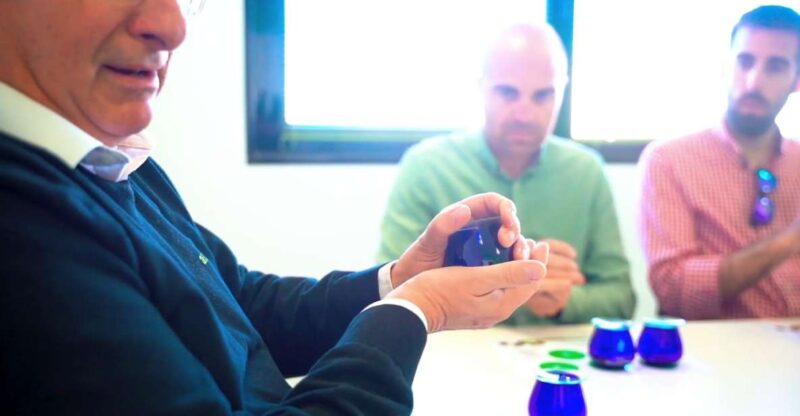 Oleoalmanzora: Guided Tour + Masterclass of EVOO Tasting Eng - Highlights of the Experience