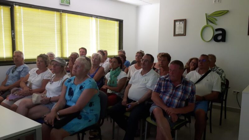 Oleoalmanzora: Guided Tour + Masterclass of EVOO Tasting Eng - Olive Grove and Tasting Room