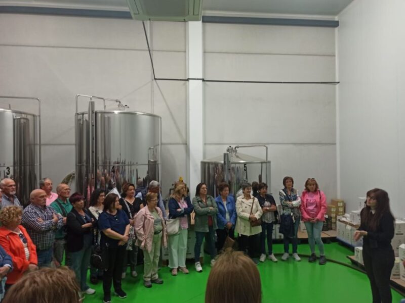 Oleoalmanzora: Guided Tour Olive Groves and EVOO Facilities - Accessibility and Visitor Information