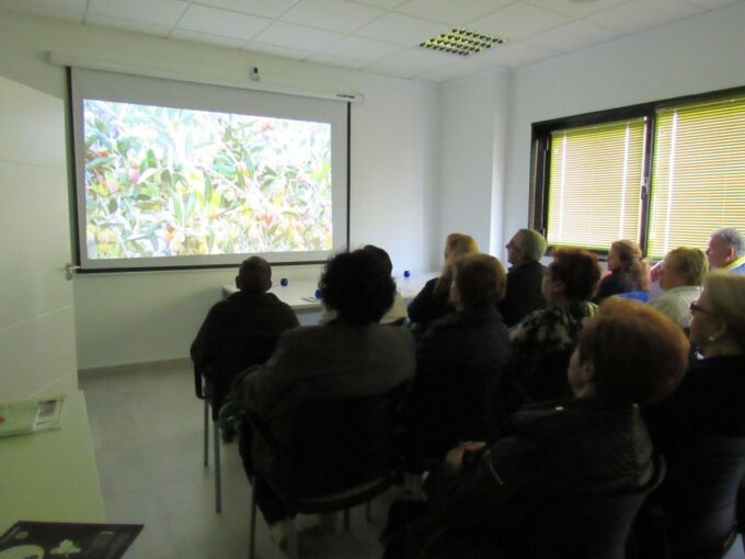 Oleoalmanzora: Guided Tour Olive Groves and EVOO Facilities - Frequently Asked Questions