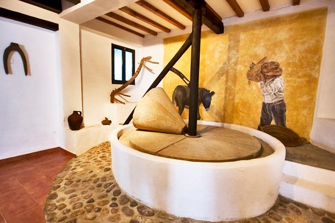 Oleotourism and Olive Oil Tasting in Seville - Private Tour - Olive Oil Production Process