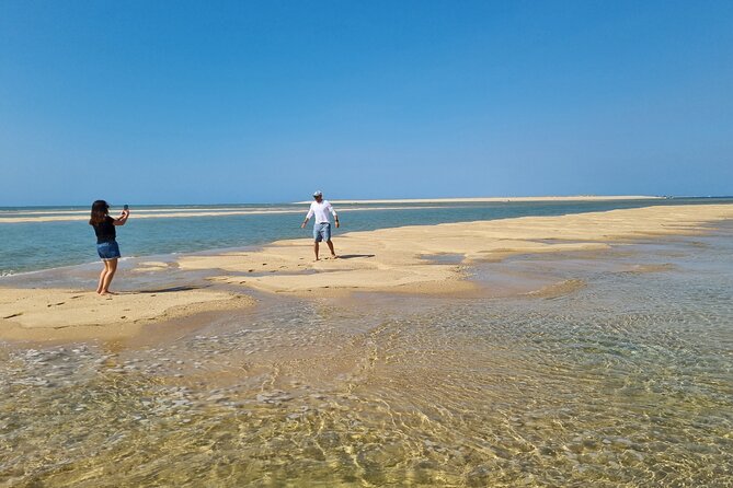 Olhao: 1-Day Trip to 3 Islands - Guided Bird Watching