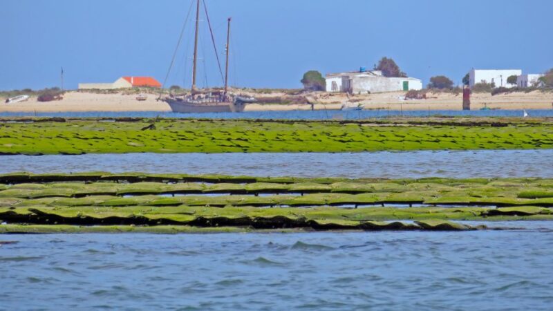 Olhão: 3-Hour Ria Formosa Boat Tour - Cancellation Policy