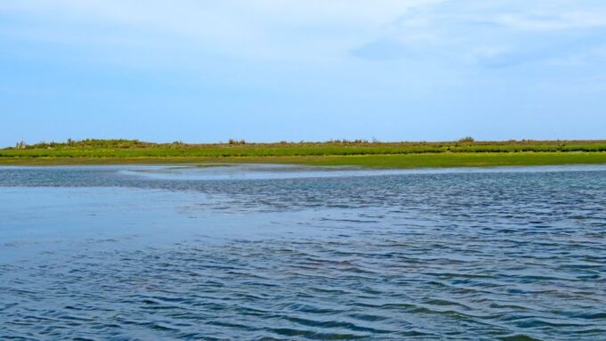 Olhão: 3-Hour Ria Formosa Boat Tour - What to Bring and Reviews