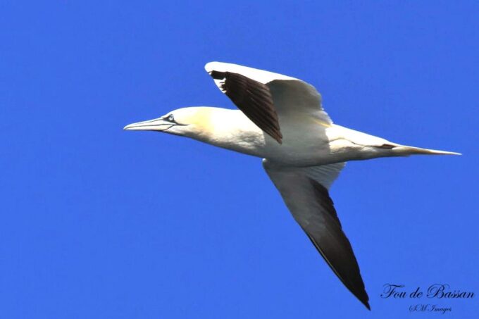 Olhão: 3 Islands Guided Sightseeing Tour With Lunch - Meeting Point and Location