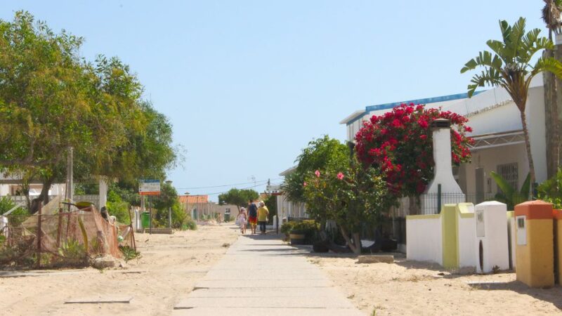 Olhão: 4-Hour Ria Formosa Islands Tour - Price and Availability