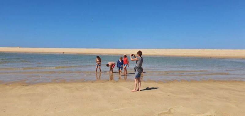 Olhão: 5-Hour Ride With 3 Stops on the Beaches and Islands of Ria Formosa - Experience Highlights