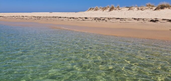 Olhão: 5-Hour Ride With 3 Stops on the Beaches and Islands of Ria Formosa - Frequently Asked Questions