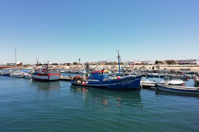 Olhao Authentic Tour: Market and Ria Formosa Natural Park - Exploring Olhaos Cubist Houses