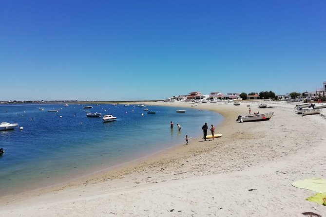 Olhao Authentic Tour: Market and Ria Formosa Natural Park - Discovering Ria Formosa Natural Park