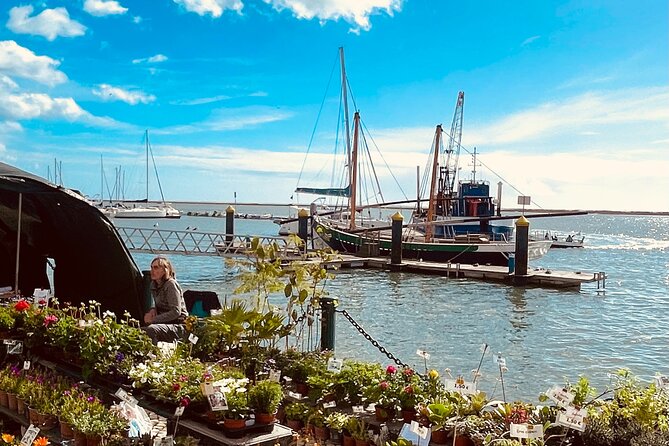 Olhão Fish Market & Food Tour - Taking in Local Culture
