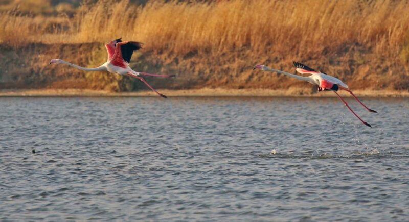 Olhão: Private Boat Tour to Ria Formosa - Meeting Point