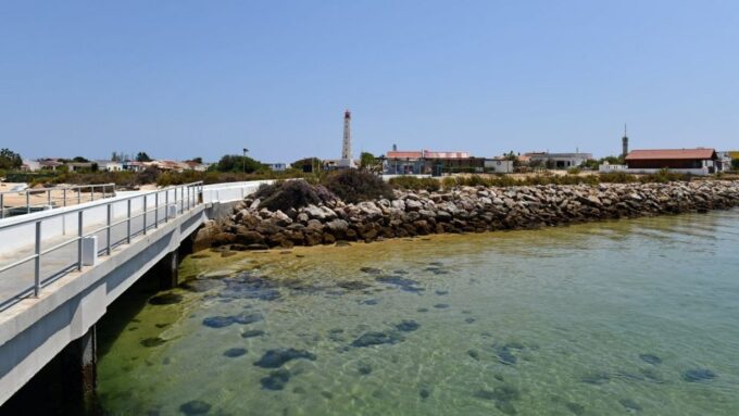 Olhão: Private Boat Tour to Ria Formosa - Accessibility