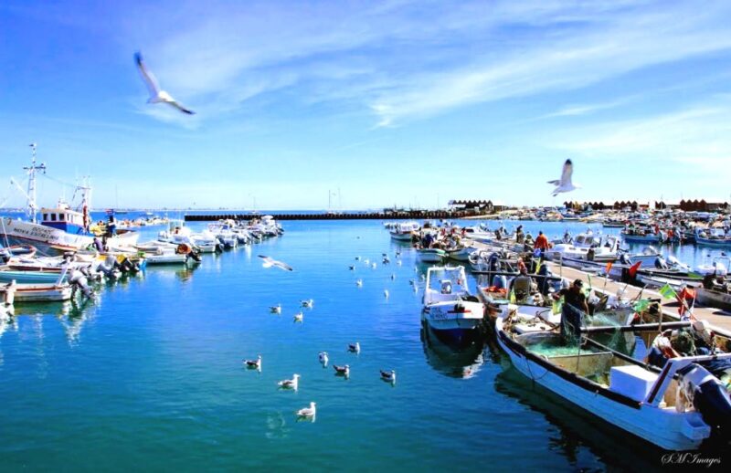 Olhão: Ria Formosa 3 Islands Guided Day Trip by Boat - Customer Reviews and Ratings