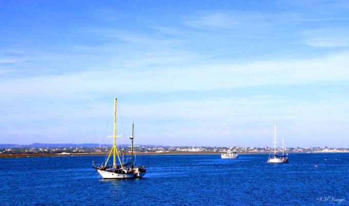 Olhão: Ria Formosa 3 Islands Guided Day Trip by Boat - Boat Cruise and Island Visits