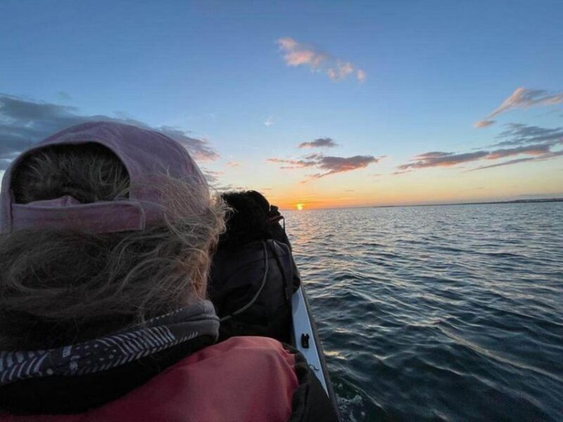 Olhão: Ria Formosa Boat Cruise to Armona and Culatra - Key Points