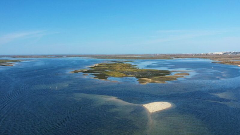 Olhão: Ria Formosa Boat Cruise to Armona and Culatra - Itinerary and Experience
