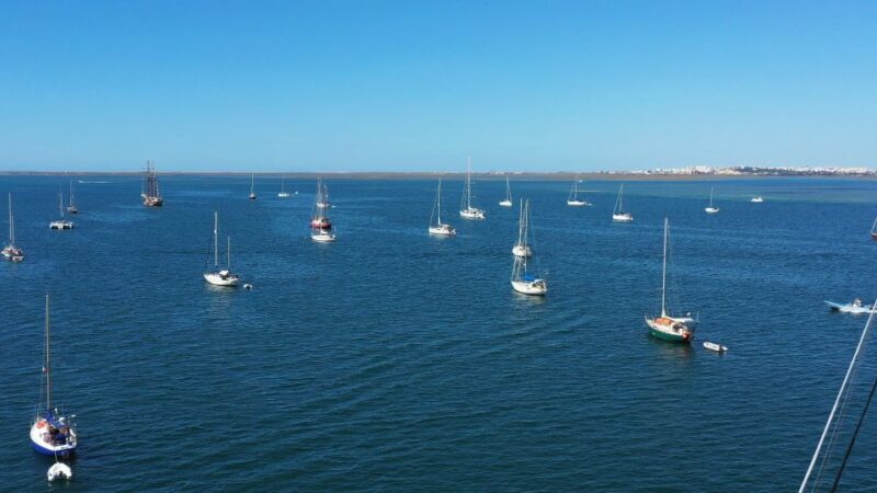 Olhão: Ria Formosa Boat Cruise to Armona and Culatra - Highlights and Activities