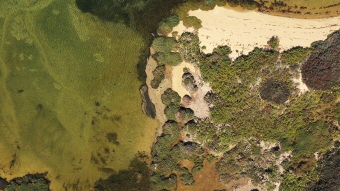 Olhão: Ria Formosa Boat Cruise to Armona and Culatra - Island Exploration Opportunities