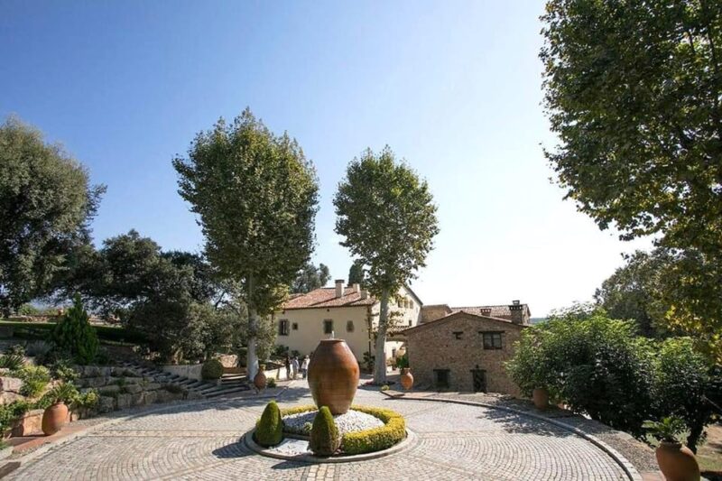 Olive Grove Tour, Oil Tasting and Visit to a 12TH Century Farmhouse. - Key Points