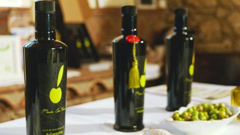 Olive Grove Tour, Oil Tasting and Visit to a 12TH Century Farmhouse. - Guided Experience