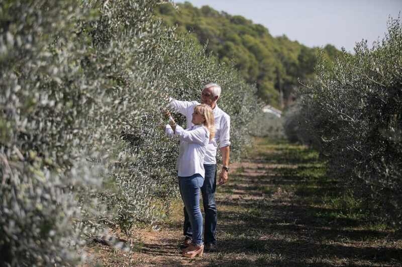 Olive Grove Tour, Oil Tasting and Visit to a 12TH Century Farmhouse. - Booking and Availability