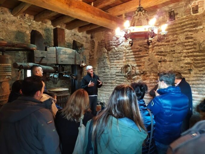Olive Grove Tour, Oil Tasting and Visit to a 12TH Century Farmhouse. - Olive Grove and Oil Tasting