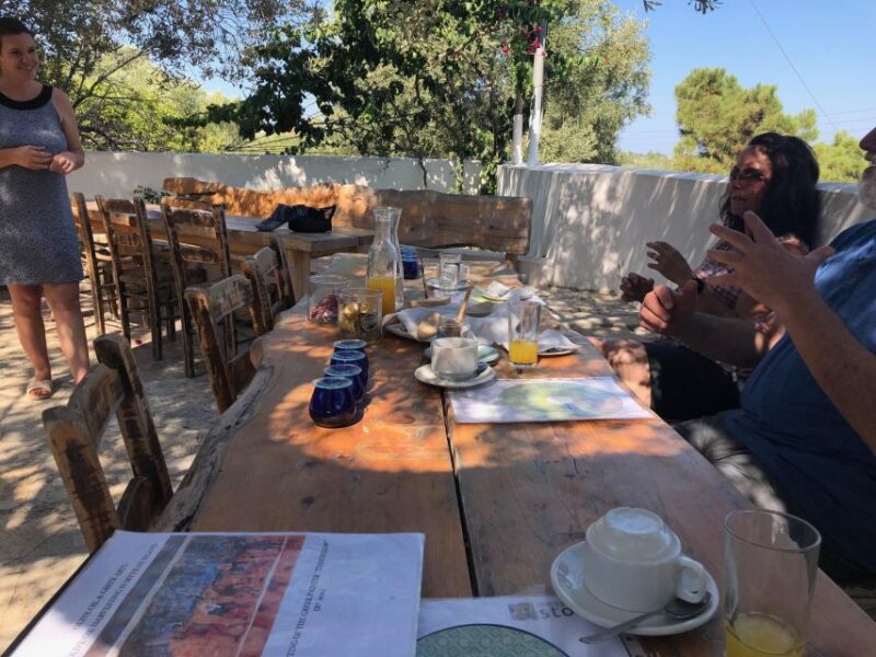 Olive Grove Tour & Olive Oil Tasting and Lunch in Messinia - Exploring the Olive Grove