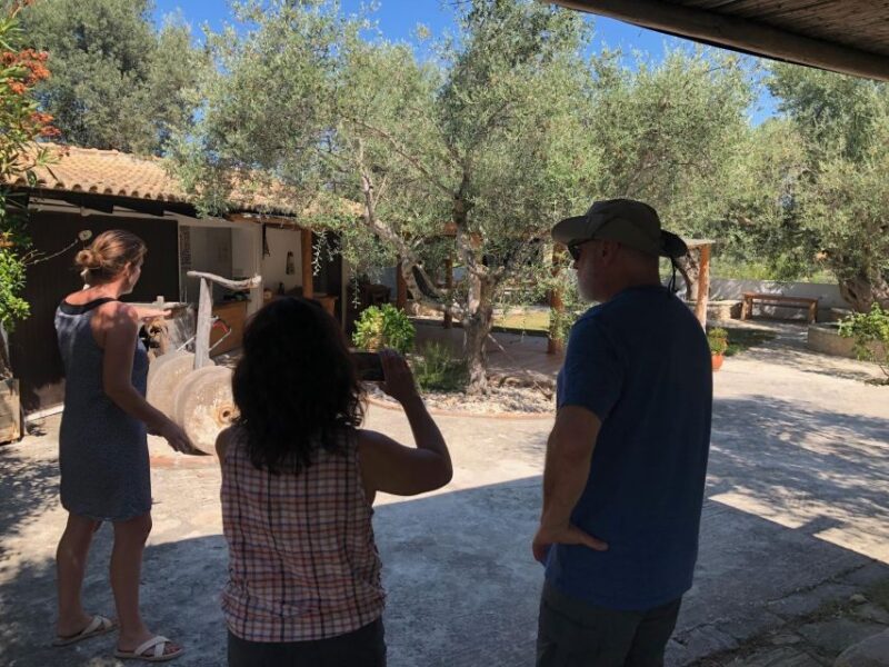 Olive Grove Tour & Olive Oil Tasting and Lunch in Messinia - Delightful Local Lunch