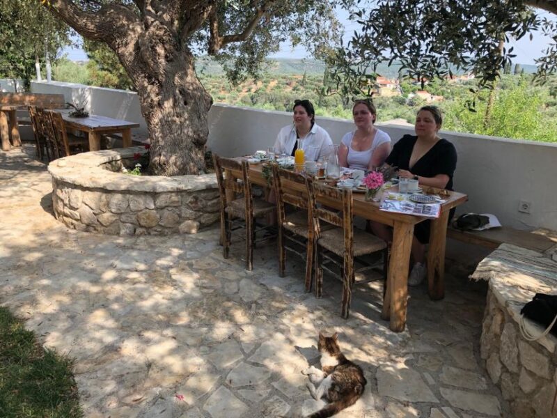 Olive Grove Tour & Olive Oil Tasting and Lunch in Messinia - Included Amenities and Activities