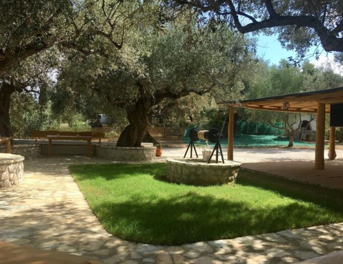 Olive Grove Tour & Olive Oil Tasting and Lunch in Messinia - Availability and Booking Information