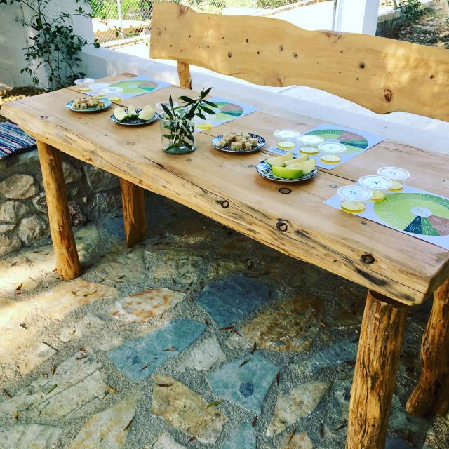 Olive Grove Tour & Olive Oil Tasting and Lunch in Messinia - Additional Services and Requests