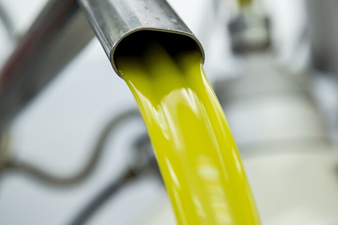Olive Harvest, Visit to the Oil Mill and Typical Lunch - Meeting and Pickup Details