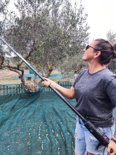 Olive Harvesting & Olive Oil Tasting - What to Bring and Wear