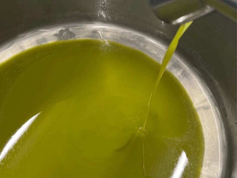 Olive Mill Tour and Tasting in the Padua Hills - Overview of the Olive Mill Tour