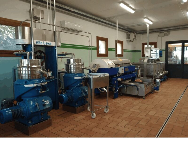 Olive Mill Tour and Tasting in the Padua Hills - Guided Tasting Experience