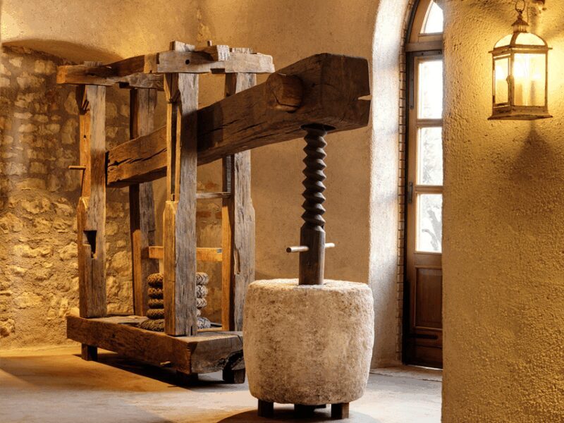 Olive Mill Tour and Tasting in the Verona Countryside - Overview of the Olive Mill Tour