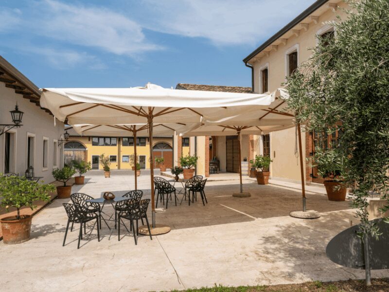 Olive Mill Tour and Tasting in the Verona Countryside - Sustainability Practices and Heritage