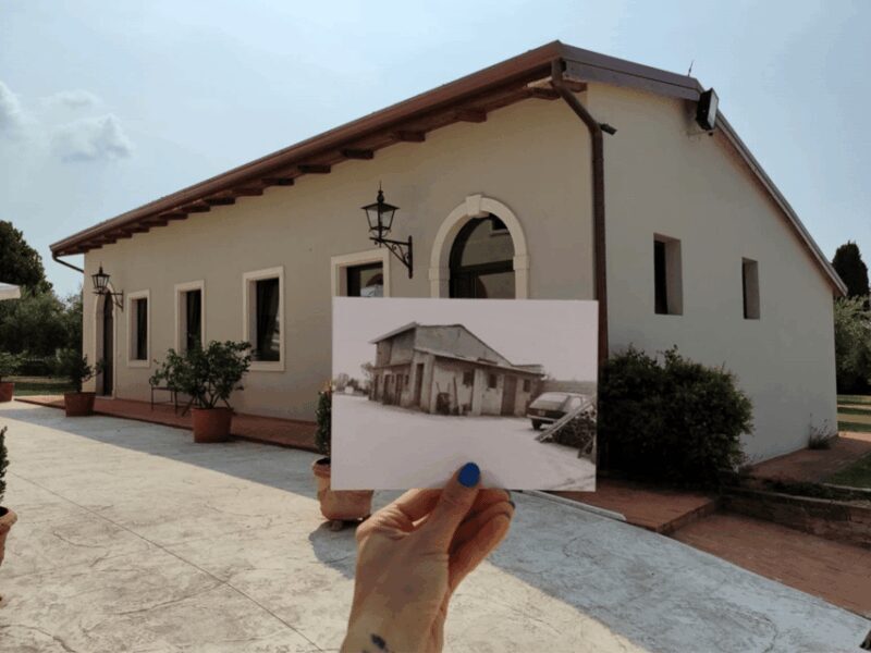 Olive Mill Tour and Tasting in the Verona Countryside - The Bonamini Family Oil Museum