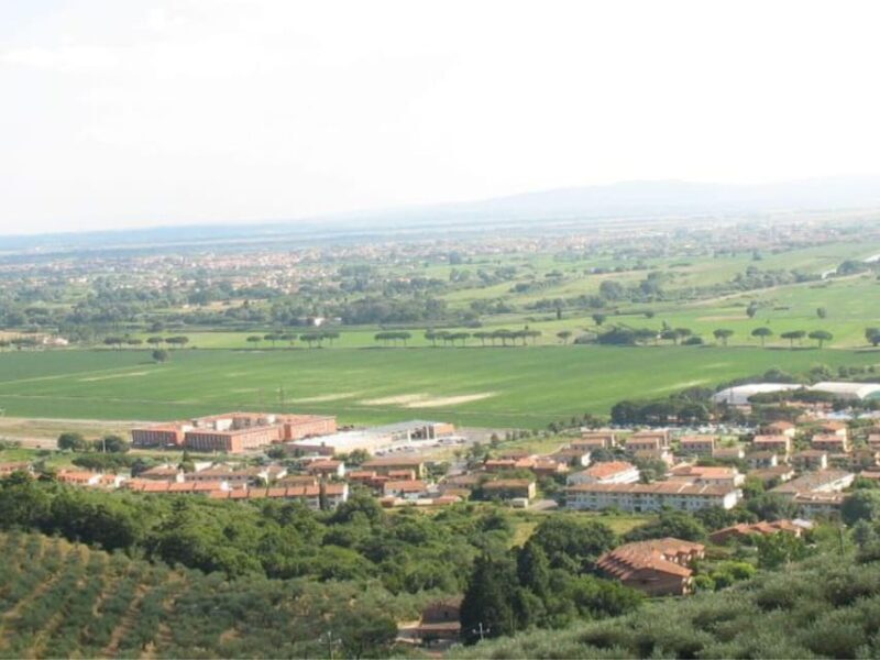 Olive Mill Tour With Oil and Food Tastings Near Pisa - Guided Tour of the Olive Grove